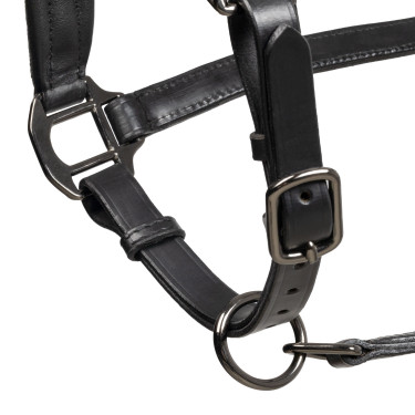 Equestro Lederhalfter Diamond – anatomisch fürs Pferd