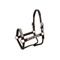 Lederhalfter Pool’s ELHT/00935 Braun