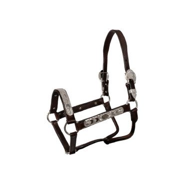Lederhalfter Pool’s ELHT/00935 Braun