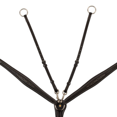 Equestro Leder-Vorderzeug mit Martingal – Reitzubehör Equestro Leder-Vorderzeug mit Martingal – Reitzubehör