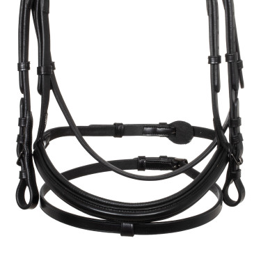Equestro Zaumzeug Leder – anatomisch, Reittrense | Equi-Clic
