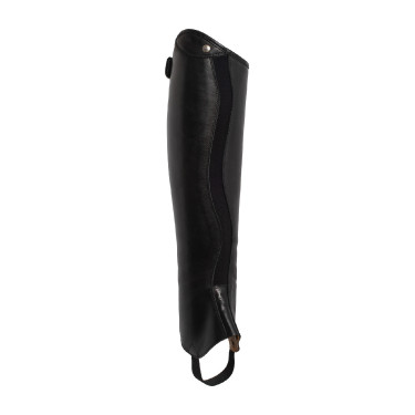 Reitchaps aus Leder Franceschini Brunelleschi – Equi-Clic