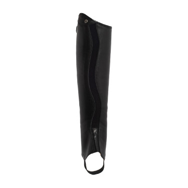 Reitchaps aus Leder Franceschini Brunelleschi – Equi-Clic