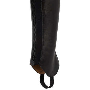 Reitchaps aus Leder Franceschini Brunelleschi – Equi-Clic