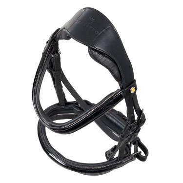 Equestro Trense für Pferde – gebogenes Stirnband Equestro Trense für Pferde – gebogenes Stirnband