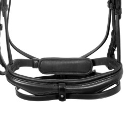 Equestro Trense fürs Reiten, anatomisches Genickstück