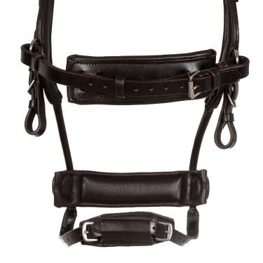 Anatomisches Reithalfter Leder Comfitec Equestro | Equi-Clic Anatomisches Reithalfter Leder Comfitec Equestro | Equi-Clic