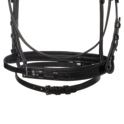 Reitzubehör: Equestro Trensenzaum Leder schwarz | Equi‑clic Reitzubehör: Equestro Trensenzaum Leder schwarz | Equi‑clic