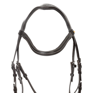 Equestro Trense anatomisch – Reitzaum mit gebogenem Nasenriemen