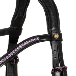 Equestro Trensenzaum Leder – anatomisch für Reitsport Equestro Trensenzaum Leder – anatomisch für Reitsport