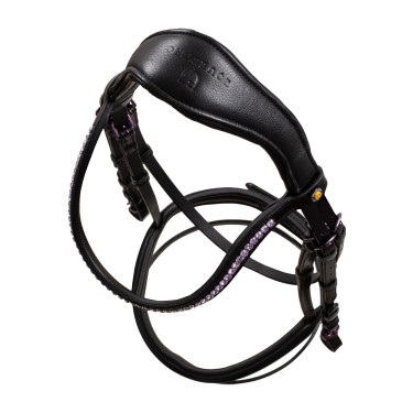 Equestro Trensenzaum Leder – anatomisch für Reitsport Equestro Trensenzaum Leder – anatomisch für Reitsport