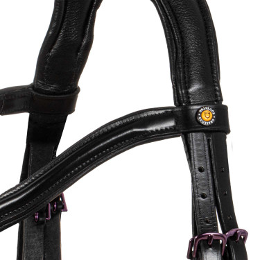 Equestro Trensenzaum Leder – anatomisch für Reitsport Equestro Trensenzaum Leder – anatomisch für Reitsport