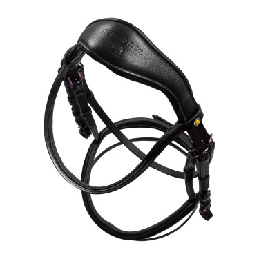 Equestro Trensenzaum Leder – anatomisch für Reitsport Equestro Trensenzaum Leder – anatomisch für Reitsport