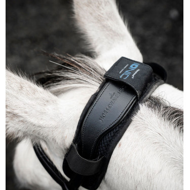 Genickschoner für Pferde – Horseware Ionic Therapy | Reiten