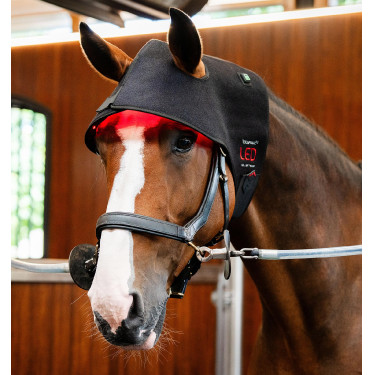 LED Rotlicht Ohrenhaube fürs Pferd – Reitzubehör