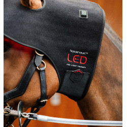 LED Rotlicht Ohrenhaube fürs Pferd – Reitzubehör