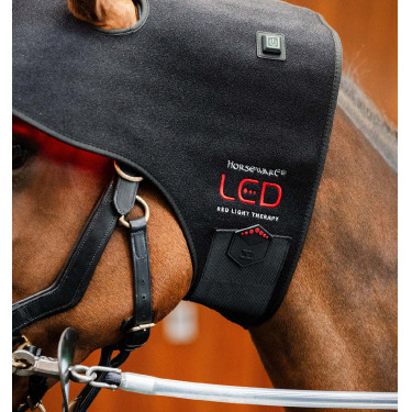 LED Rotlicht Ohrenhaube fürs Pferd – Reitzubehör