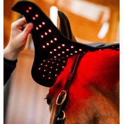 LED Rotlicht Ohrenhaube fürs Pferd – Reitzubehör
