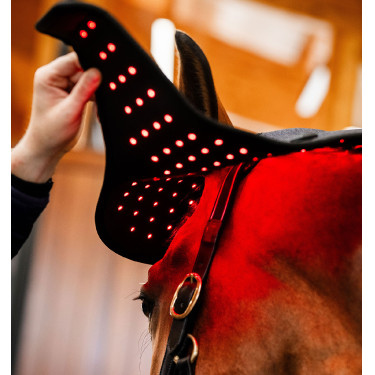 LED Rotlicht Ohrenhaube fürs Pferd – Reitzubehör