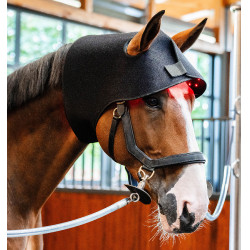 LED Rotlicht Ohrenhaube fürs Pferd – Reitzubehör