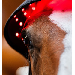 LED Rotlicht Ohrenhaube fürs Pferd – Reitzubehör