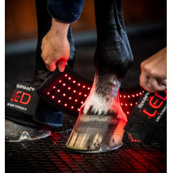 Pferde-Therapiegamasche mit rotem LED-Licht – Horseware Pferde-Therapiegamasche mit rotem LED-Licht – Horseware