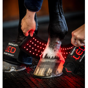 Pferde-Therapiegamasche mit rotem LED-Licht – Horseware Pferde-Therapiegamasche mit rotem LED-Licht – Horseware
