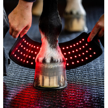 Pferde-Therapiegamasche mit rotem LED-Licht – Horseware Pferde-Therapiegamasche mit rotem LED-Licht – Horseware