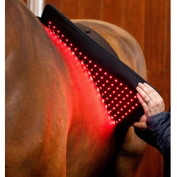 LED Rotlicht-Therapiepad fürs Pferd | Reitzubehör