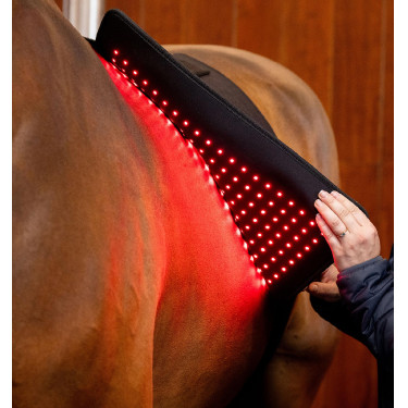 LED Rotlicht-Therapiepad fürs Pferd | Reitzubehör