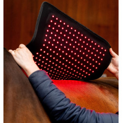 LED Rotlicht-Therapiepad fürs Pferd | Reitzubehör
