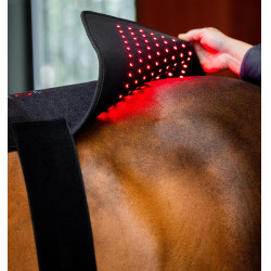LED Rotlicht-Therapiepad fürs Pferd | Reitzubehör