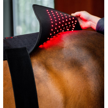 LED Rotlicht-Therapiepad fürs Pferd | Reitzubehör