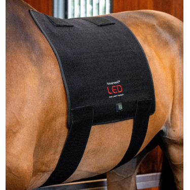LED Rotlicht-Therapiepad fürs Pferd | Reitzubehör