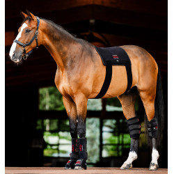 LED Rotlicht-Therapiepad fürs Pferd | Reitzubehör
