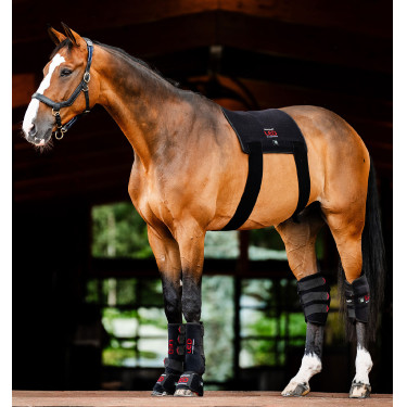 LED Rotlicht-Therapiepad fürs Pferd | Reitzubehör