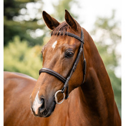 Hunter Trense für Pferde – Horseware | Equi-Clic Reitsport Hunter Trense für Pferde – Horseware | Equi-Clic Reitsport