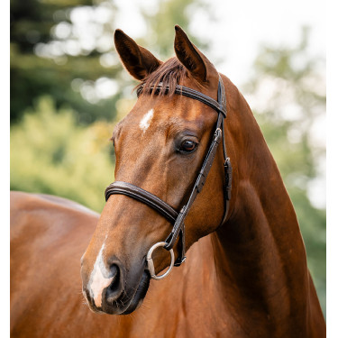 Hunter Trense für Pferde – Horseware | Equi-Clic Reitsport Hunter Trense für Pferde – Horseware | Equi-Clic Reitsport