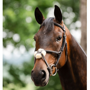 Reitzubehör: Horseware 8er Grackle-Zaumzeug aus Leder Reitzubehör: Horseware 8er Grackle-Zaumzeug aus Leder