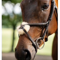 Reitzubehör: Horseware 8er Grackle-Zaumzeug aus Leder Reitzubehör: Horseware 8er Grackle-Zaumzeug aus Leder