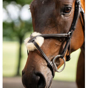Reitzubehör: Horseware 8er Grackle-Zaumzeug aus Leder Reitzubehör: Horseware 8er Grackle-Zaumzeug aus Leder