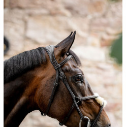 Reitzubehör: Horseware 8er Grackle-Zaumzeug aus Leder Reitzubehör: Horseware 8er Grackle-Zaumzeug aus Leder