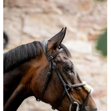 Reitzubehör: Horseware 8er Grackle-Zaumzeug aus Leder Reitzubehör: Horseware 8er Grackle-Zaumzeug aus Leder