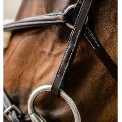 Reitzubehör: Horseware 8er Grackle-Zaumzeug aus Leder Reitzubehör: Horseware 8er Grackle-Zaumzeug aus Leder