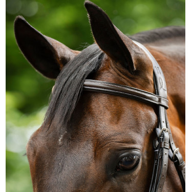 Reitzubehör: Horseware 8er Grackle-Zaumzeug aus Leder Reitzubehör: Horseware 8er Grackle-Zaumzeug aus Leder