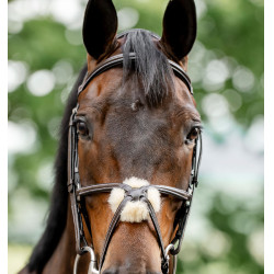Reitzubehör: Horseware 8er Grackle-Zaumzeug aus Leder Reitzubehör: Horseware 8er Grackle-Zaumzeug aus Leder