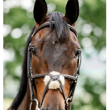 Reitzubehör: Horseware 8er Grackle-Zaumzeug aus Leder Reitzubehör: Horseware 8er Grackle-Zaumzeug aus Leder
