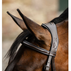 Reitzubehör: Horseware 8er Grackle-Zaumzeug aus Leder Reitzubehör: Horseware 8er Grackle-Zaumzeug aus Leder