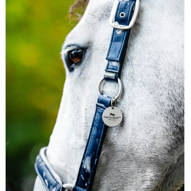 Putzhalfter fürs Pferd – Horseware | Equi-Clic Reitsport Putzhalfter fürs Pferd – Horseware | Equi-Clic Reitsport