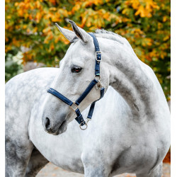 Putzhalfter fürs Pferd – Horseware | Equi-Clic Reitsport Putzhalfter fürs Pferd – Horseware | Equi-Clic Reitsport